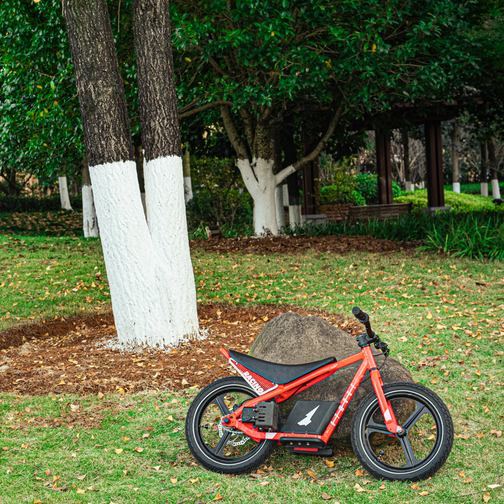 จักรยานเสือภูเขาเด็กแบบซิงเกิล - Mountain Biking For Kids บทวิจารณ์และราคา
